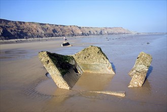 Rapidly eroding boulder clay cliffs on the Holderness coast, Mappleton, Yorkshire, England, United