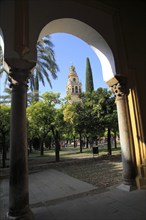 Cathedral belfry bell tower, Toree del Laminar, Great Mosque, Cordoba, Spain, Europe