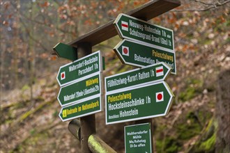 Polenztal in Saxon Switzerland, Hohnstein, Saxony, Germany, Europe