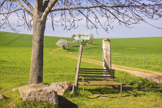 Fields near Karsdorf, Quoren and Possendorf. Prayer column on the pilgrimage route, Karsdorf,