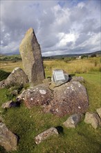 Modern bluestone single stone megalith, near Mynachlogddu, Preseli Hills, Pembrokeshire, Wales,