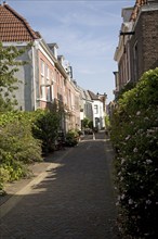 Typical street with houses Haarlem Holland