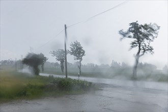 Storm on the Triebenberg near Dresden, Dresden, Saxony, Germany, Europe