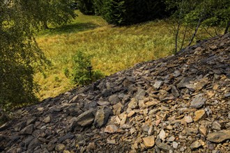 Mining dump, Halsbrücke, Halsbrücke, Saxony, Germany, Europe