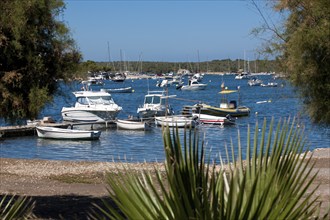 View of many small boats yachts yachts in bay of Portocolom on Mediterranean Sea, foreground leaves