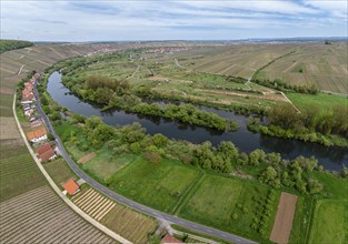 Aerial view of vineyards on the Volkacher Mainschleife, village Köhler, town of Volkach, district