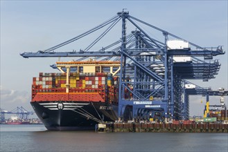 MSC Loreto, world's largest ship as of May 1st 2024, Port of Felixstowe, Suffolk, England, UK