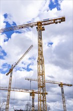 Construction cranes, on a large construction site in Düsseldorf, construction of condominium in the