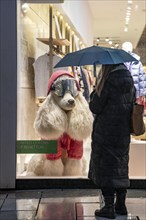 Sale, sale, rainy weather, freezing rain, pedestrian zone Zeil, shopping street, high-rise skyline