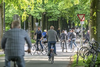 One of 4 road crossings of the Promenade cycle path, a tree-lined, car-free, approximately 4.5 km