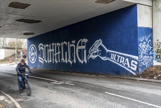 Wall murals, fan paintings of the Bundesliga club FC Schalke 04, at the Schalke stadium, Veltins