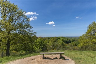 Svanninge Bakker, Faaborg, wooded heights in southern Funen, nature reserve, recreation, hiking,