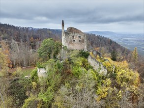 Aerial view of the ruins of Altbodman on the Bodanrück, above the village of Bodman in autumn