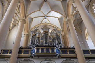 Organ loft, organ built in 1751 by the organ builder Johann Philipp Seuffert, St Vitus Church, 16th