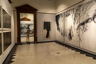 Art exhibition 'Atlas' by Jan Hendrix, Casa de Montejo, Merida, Yucatan State, Mexico, Central