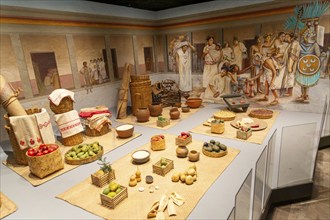 Display of Aztec foods and market, archaeological site and museum of Templo Mayor, Mexico City,