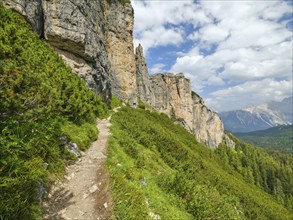 Hiking trail on the way to the Cinque Torri, Cortina d'Ampezzo, Dolomites, Cortina d'Ampezzo,