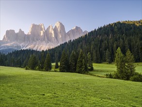 View of the Geisler peaks in the early morning, Zanser Alm, Villnöss, Villnöss Valley, Dolomites,