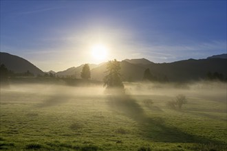 Sunrise behind mountains with fog over a green meadow penetrated by rays of light, near Füssen,