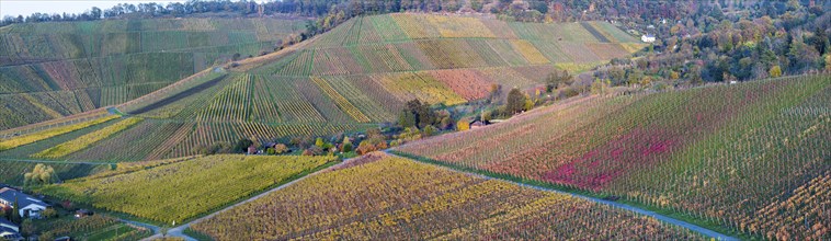 Autumn-coloured vineyards in the Untertürkheim district, autumn in Stuttgart. Aerial view.