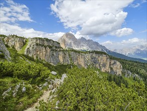 On the way to the Cinque Torri, view of the Fanes Group, Tofana di Rozes, Dolomites, Cortina