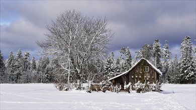 Weekend hut in the snow in a marvellous winter landscape