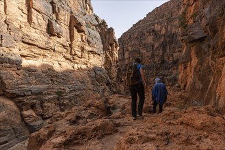 Hiking through the iconic Amtoudi canyon in the Anti-Atlas, Morocco, Africa