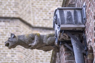 Stone gargoyle on an old church