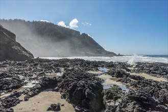 Untouched coastal landscape of Oregon, USA, North America