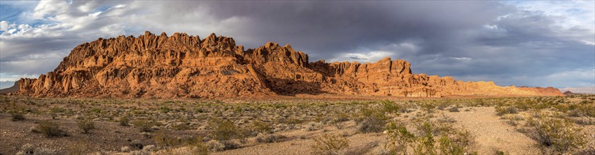 Magnificent red colored rock in the Valley of Fire, Nevada, USA, North America