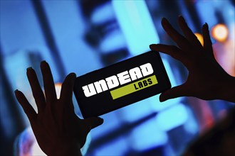 In this photo illustration, the Undead Labs logo is displayed on a smartphone screen