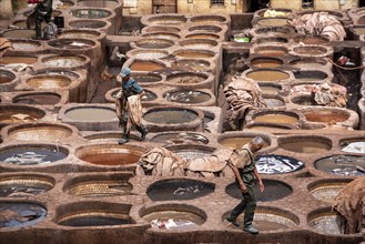 Famous tannery in the medina of Fes, where leather is being processed for generations, Morocco,