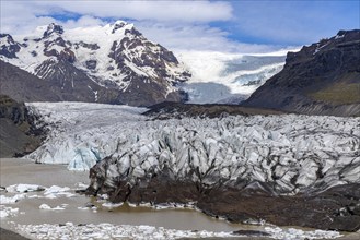 At Svinefell Glacier, Skaftafell NP, south coast, Iceland, Europe