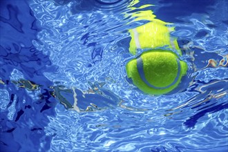 Tennis Summer Concept, Tennis Ball Underwater, Swimming Pool, Summer Tennis Camp