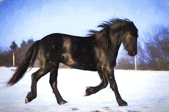 Oil painting foal Friesian horse running in the snow