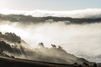 Scenic shoreline in the early morning, Yaquina head in Oregon, USA, North America