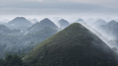 Panorama of Chocolate hills on the island Bohol in the philippines at sunrise with mist and fog