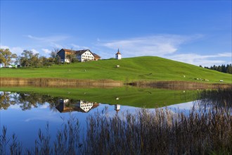 Green hill with chapel and herd of cows reflected in the calm lake, Hegratsrieder See near Füssen,