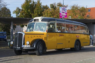 Yellow vintage bus in retro style at a bus stop with autumnal scenery, vintage car, Saurer,