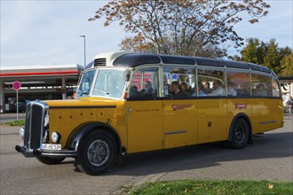 Yellow vintage bus in retro style drives past a road with autumn trees, vintage car, Saurer,