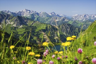 Panorama from Zeigersattel to Seealpsee, Allgaeu Alps, Allgaeu, Bavaria, Germany, Europe