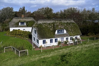 Thatched-roof house on Kaydeich, Pellworm Island, Schleswig-Holstein Wadden Sea National Park,