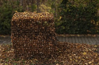 Filled leaf collection bin, collection bin for leaves in places with many trees along the roadside,