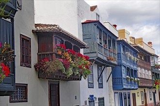 Traditional houses with colourful flowering balconies in a town, Canarian balconies, Santa Cruz de