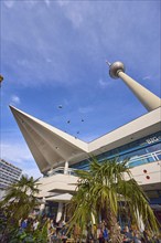 Palm tree in an outdoor area of a catering establishment and Berlin television tower,