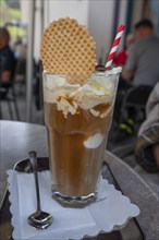 Ice cream café with waffle, served in a garden café, Bavaria, Germany, Europe