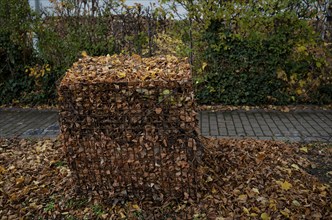 Filled leaf collection bin, collection bin for leaves in places with many trees along the roadside,