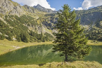 Lower Gaisalpsee, behind it the Entschenkopf (2043m), Allgäu Alps, Allgaeu, Bavaria, Germany,