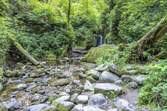 The Geroldsau Waterfall, Geroldsau, Baden-Baden, Baden-Württemberg, Germany, Europe