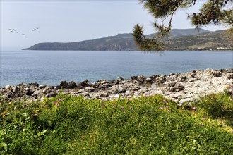 Coastline in spring, Mani, Messinian Gulf, Ionian Sea, Greece, Europe